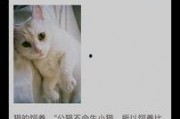 娱乐吃瓜酱猫叫,揭秘娱乐圈那些不为人知的秘密